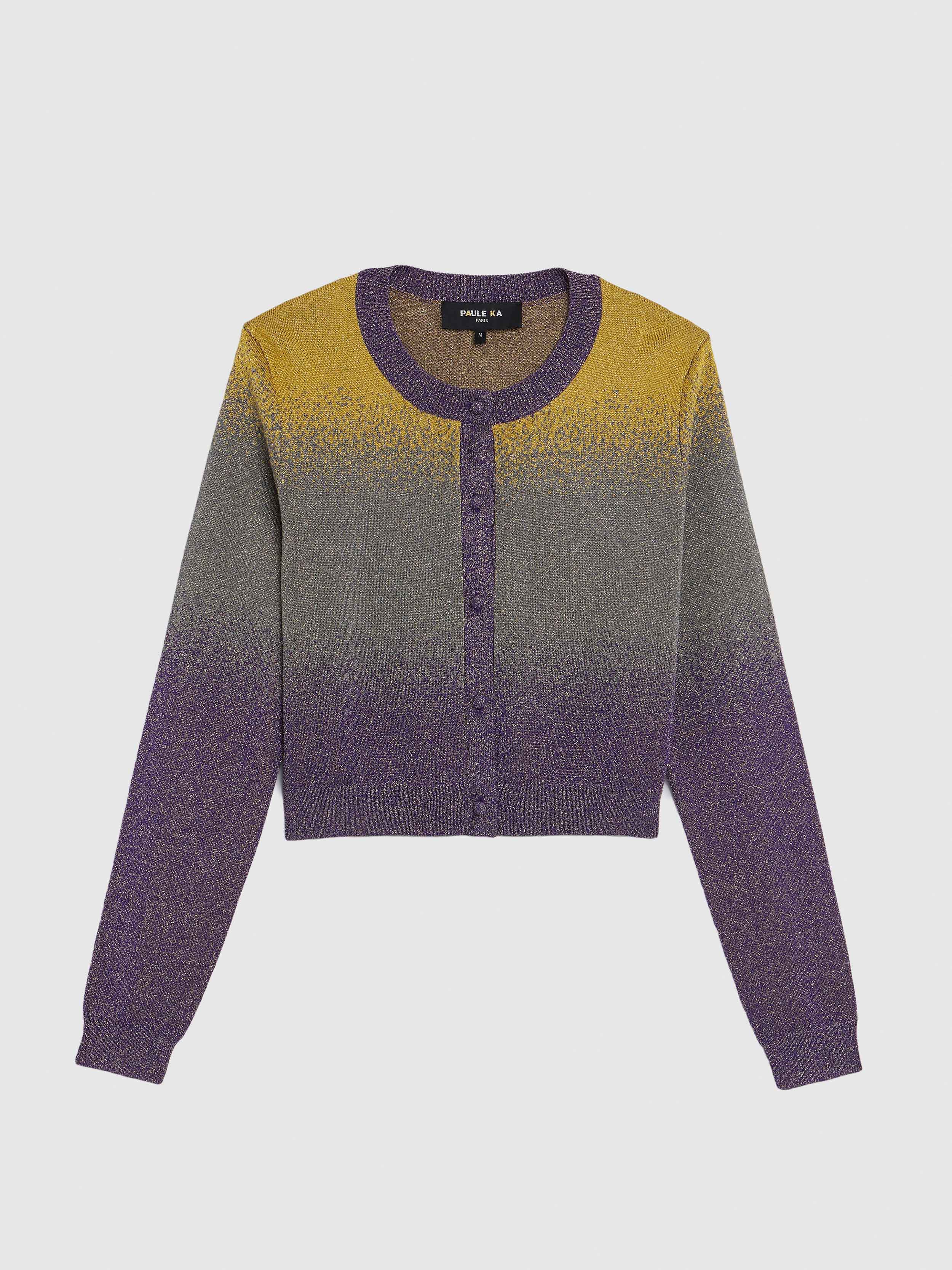 paule ka 22H 402 CA20 2339