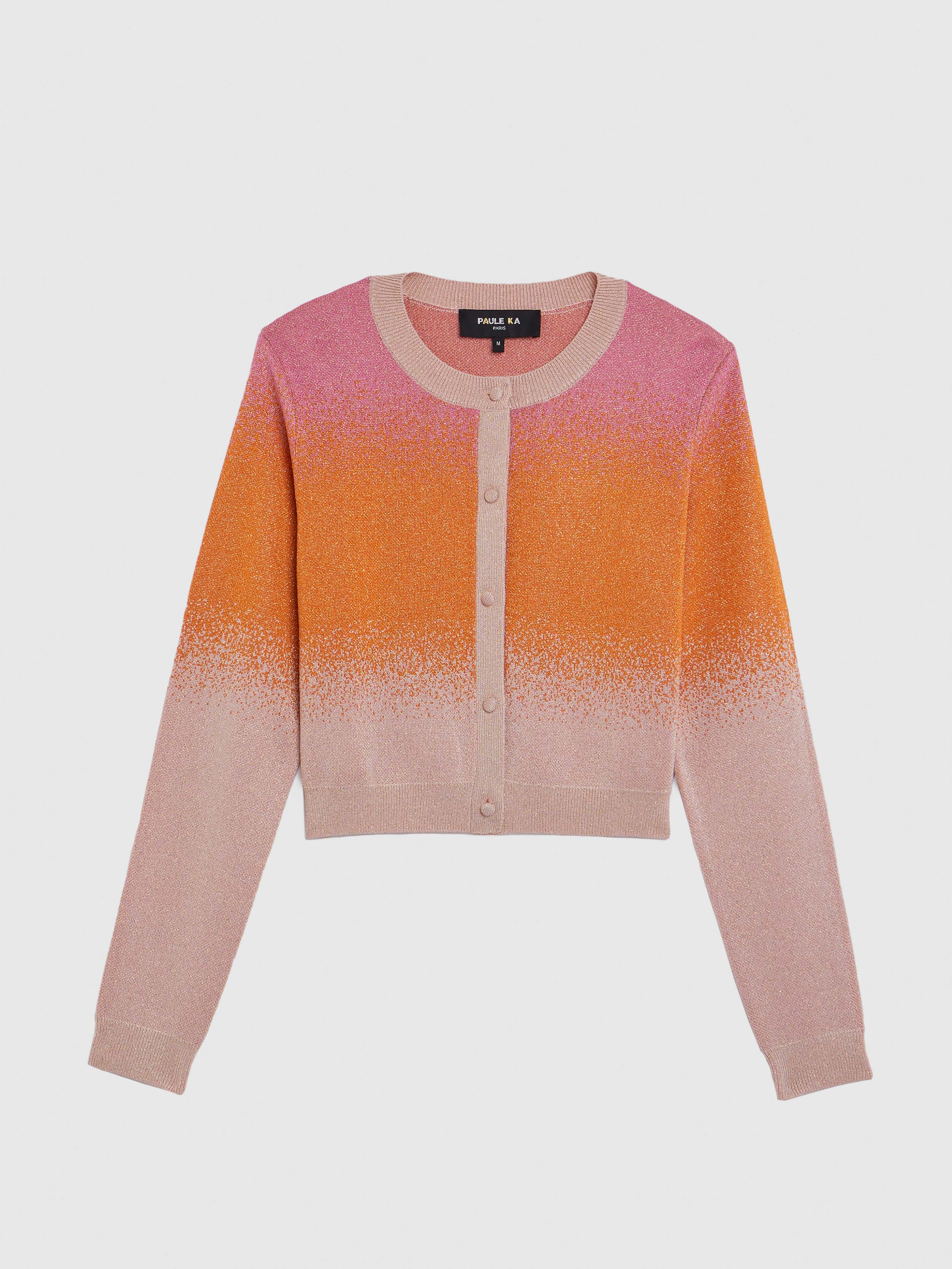 paule ka 22H 402 CA20 4684